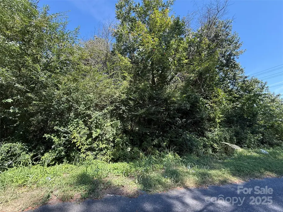 0 S Chapel Street, China Grove, NC 28023 - Image #2