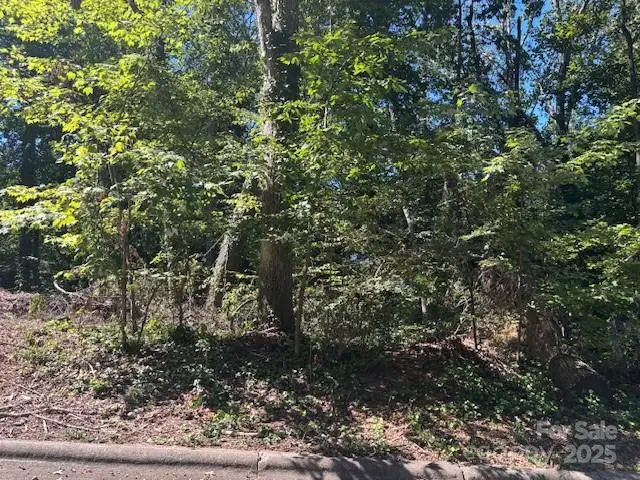 1550 & 1560 9th Street Lane Nw, Hickory, NC 28601 - #2