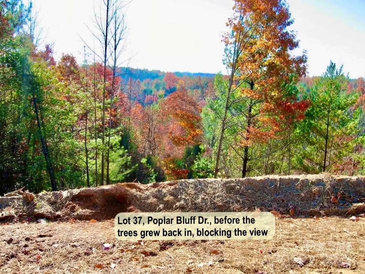 3.31 acres, Lot 37 Poplar Bluff Drive Se #37, Lenoir, NC 28645 - Image #1