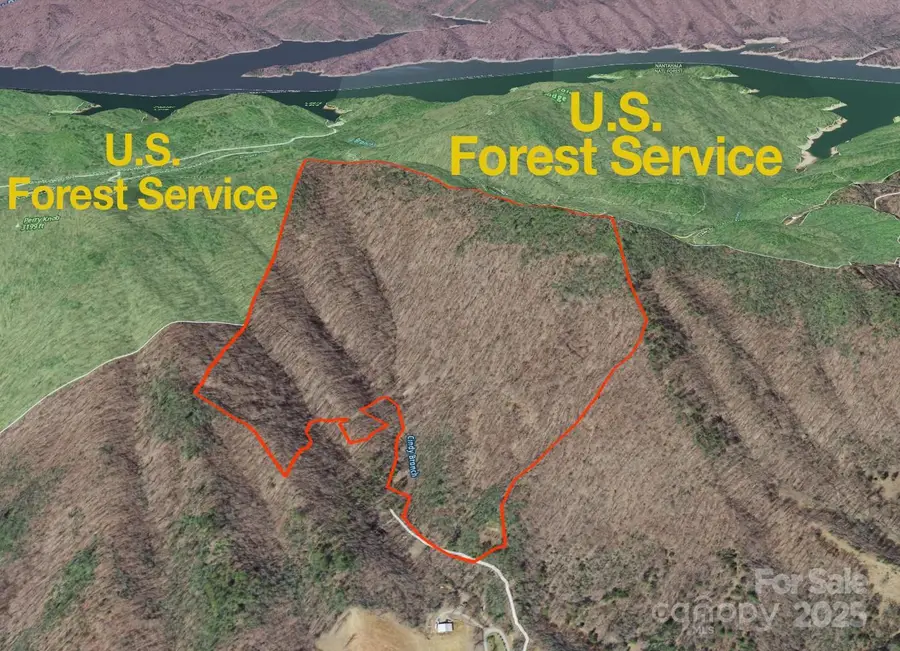 9999 Cindy Cove Trail, Robbinsville, NC 28771 - Image #2