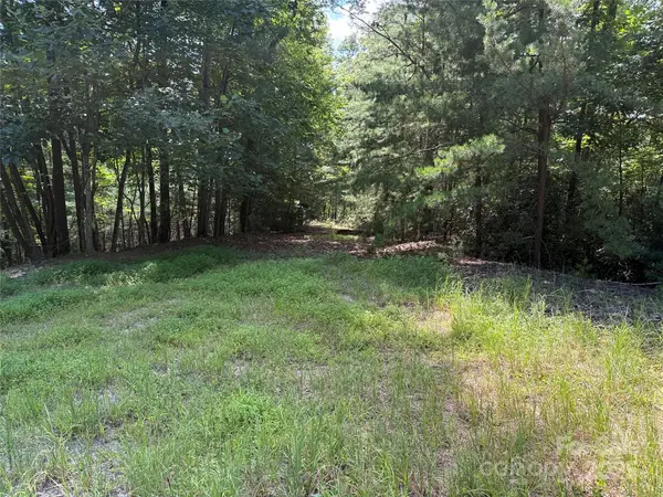 TBD Hickory Hollow Road #102 & 103, Purlear, NC 28665