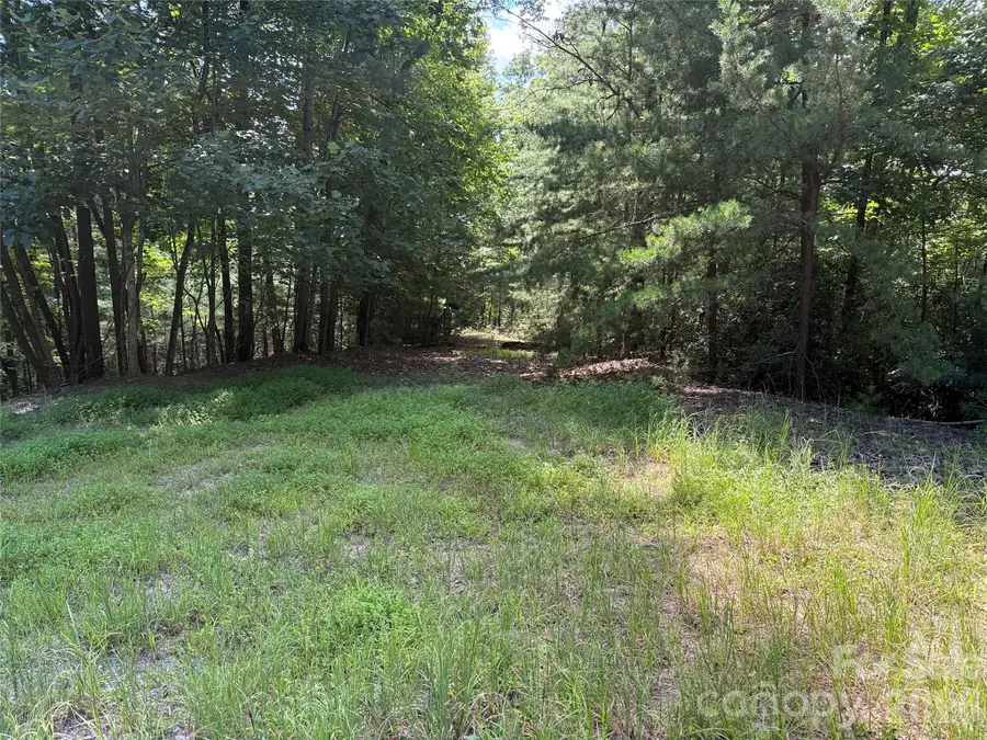 TBD Hickory Hollow Road #102 & 103, Purlear, NC 28665 - Image #2