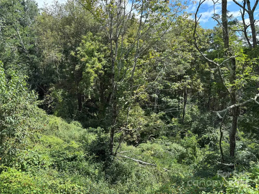 TBD Linhigh Drive #66, Newland, NC 28657 - Image #3