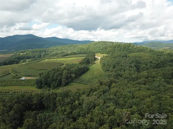 0 Pounding Mill None #5, Hendersonville, NC 28792