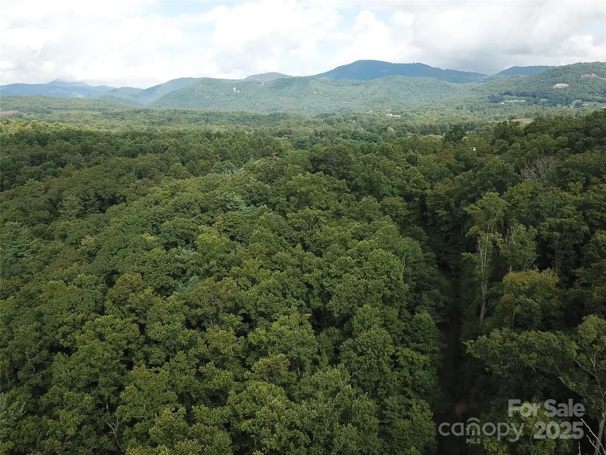 7 Pounding Mill None #7, Hendersonville, NC 28792 - Image #1