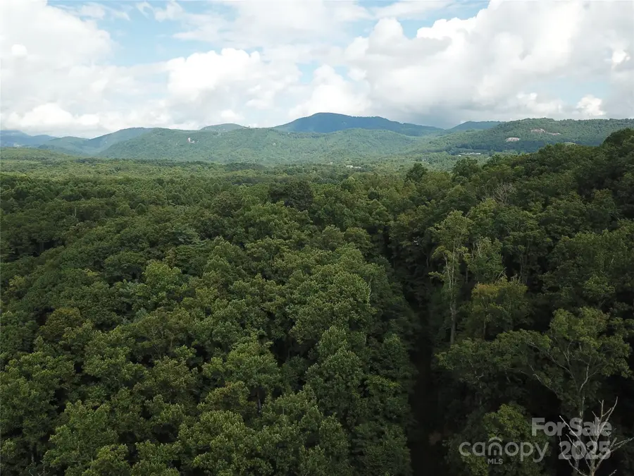 7 Pounding Mill None #7, Hendersonville, NC 28792 - Image #3