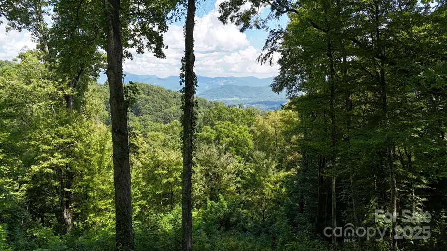 2222 Sleepy Hollow Drive, Waynesville, NC 28785 - Image #3