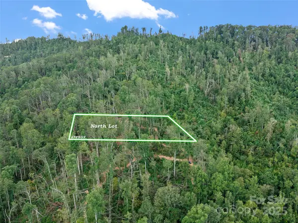 99999 Youngs Gap Road #South Lot, Fletcher, NC 28732