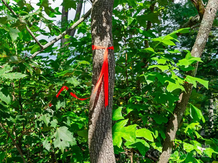 99999 Youngs Gap Road #South Lot, Fletcher, NC 28732 - Image #3