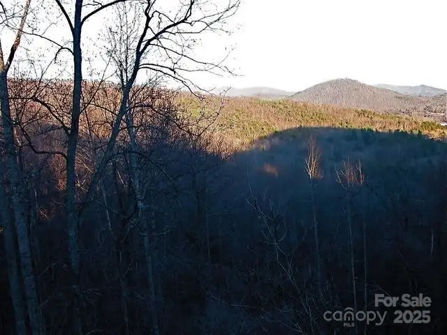 52 Hope View Road, Swannanoa, NC 28778 - Image #3