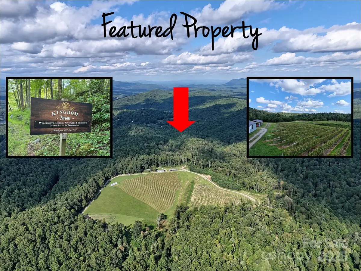 781 Payne Drive, Zirconia, NC 28790 - Image #1