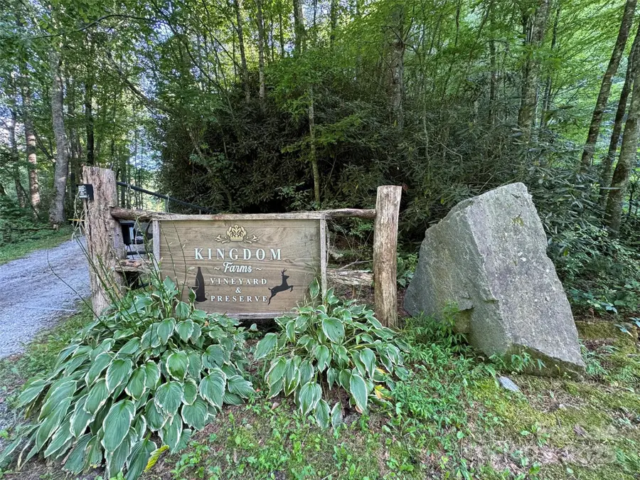 781 Payne Drive, Zirconia, NC 28790 - Image #3