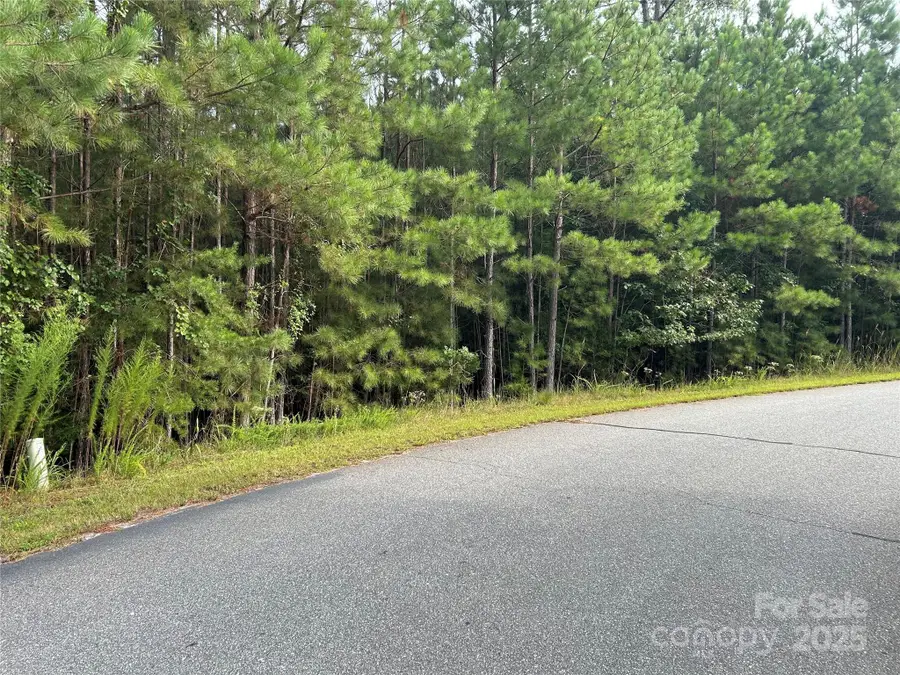 00 North Dakota Drive, Rutherfordton, NC 28139 - Image #2