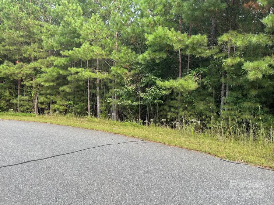 00 North Dakota Drive, Rutherfordton, NC 28139 - Image #3