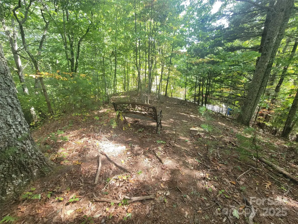 0 Pinewood Drive #5, Waynesville, NC 28786 - Image #1