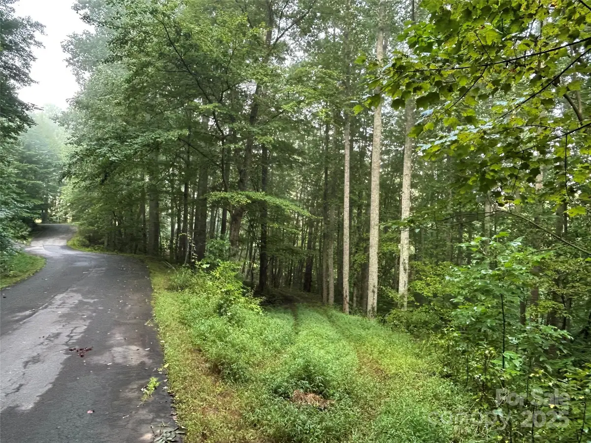 100 S Lindon Cove Road #35, 36, Candler, NC 28715 - Image #1