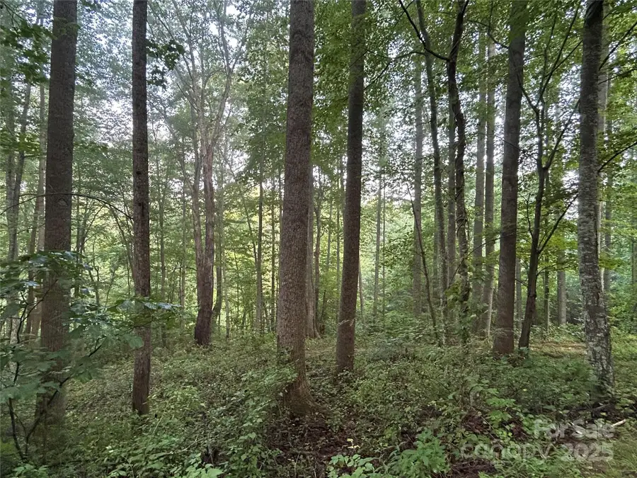 100 S Lindon Cove Road #35, 36, Candler, NC 28715 - Image #3