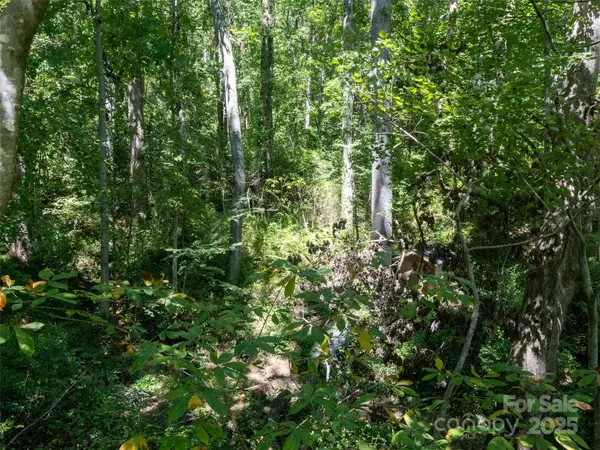 99999 Sweet Apple Drive, Fairview, NC 28730