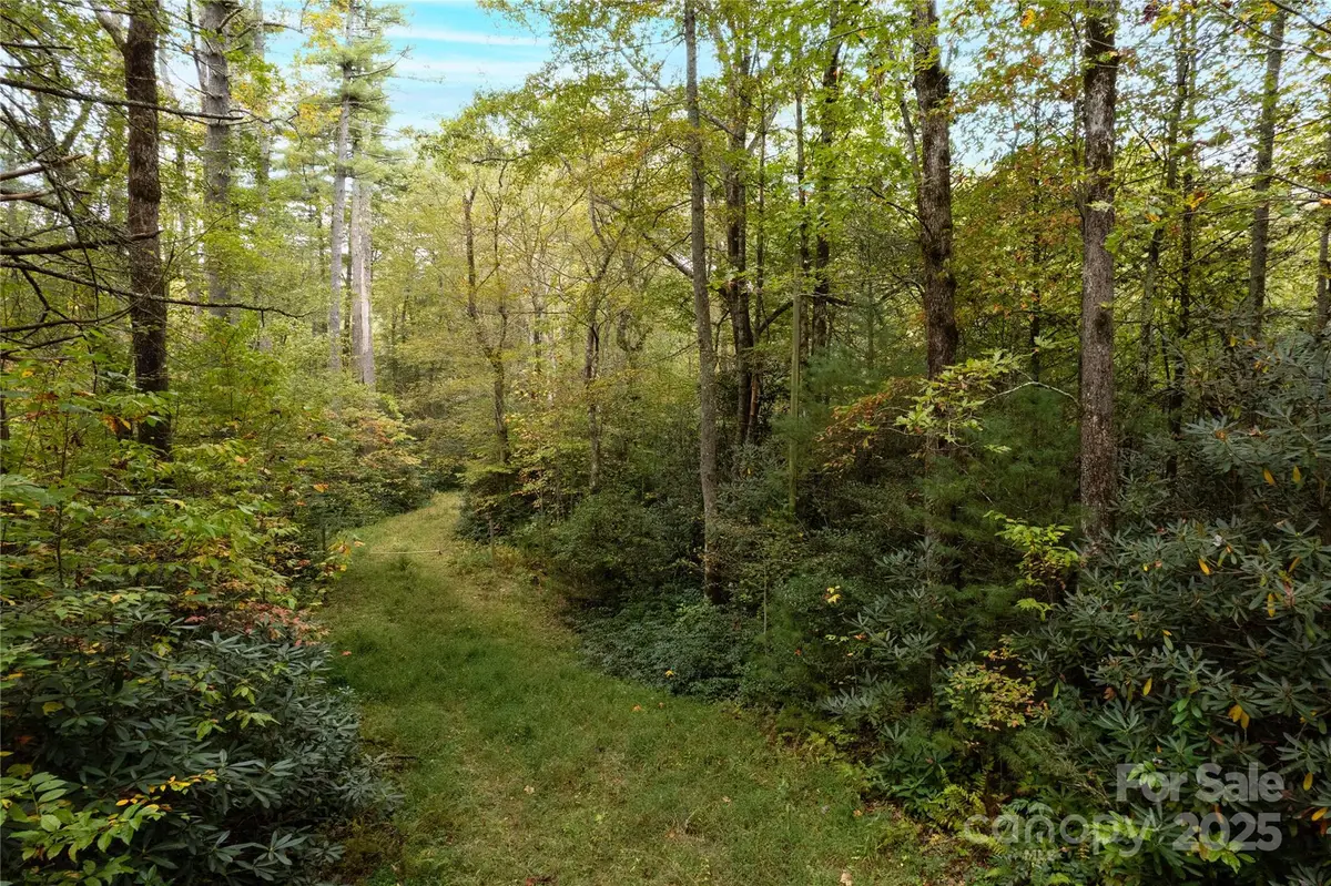 00 Beaumont Drive, Cedar Mountain, NC 28718 - Image #1