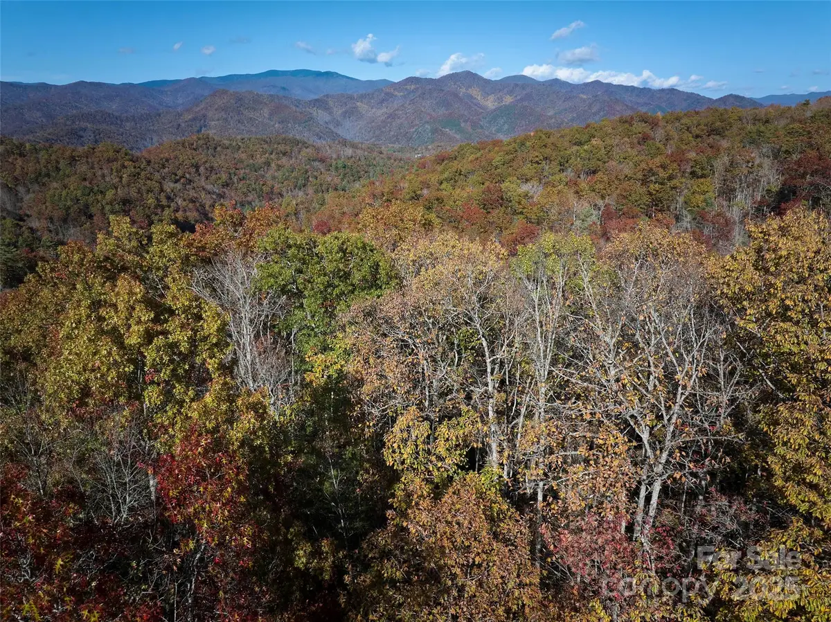 00 Black Forest Drive, Bryson City, NC 28713 - Image #1