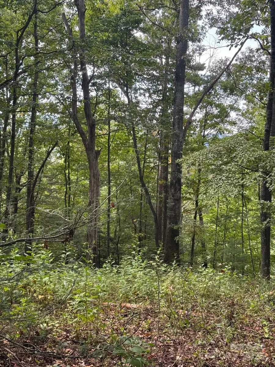 110 Stone Valley Way #20, Hendersonville, NC 28792 - Image #3