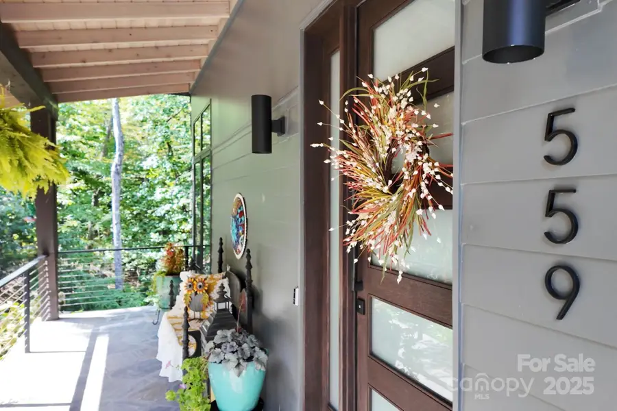 559 Shining Rock Path, Horse Shoe, NC 28742 - Image #2