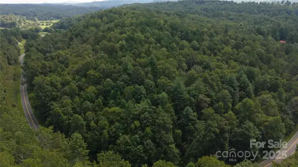 Off Lavender Road, Old Fort, NC 28762