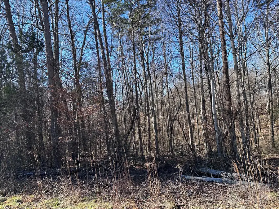 1080 S States Street, Yadkinville, NC 27055 - Image #3