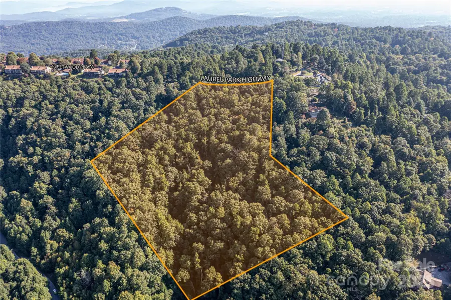 0000 Laurel Park Highway, Laurel Park, NC 28739 - Image #2