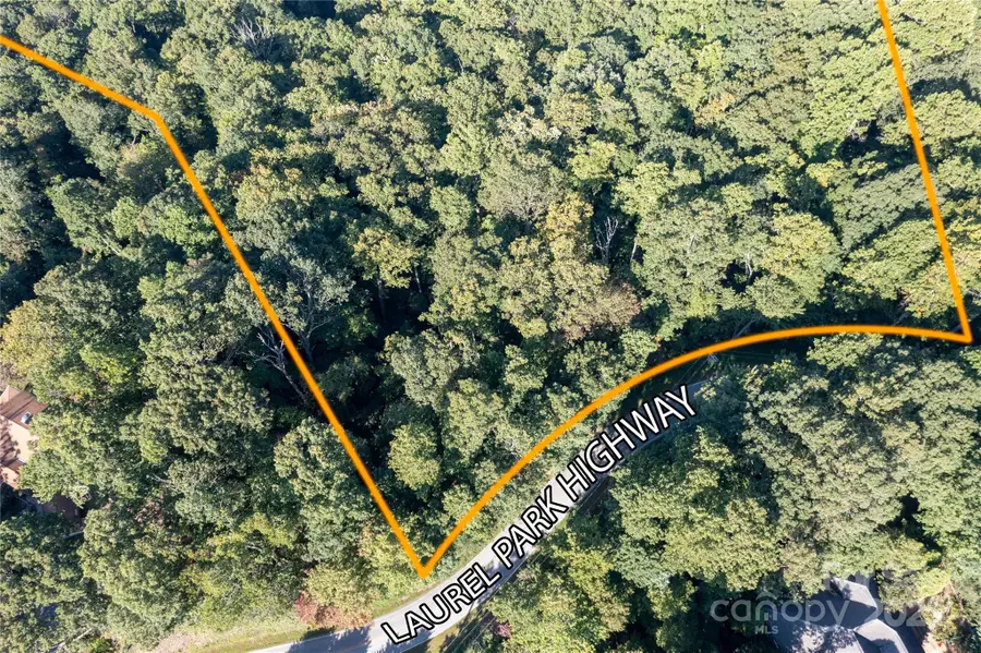 0000 Laurel Park Highway, Laurel Park, NC 28739 - Image #3