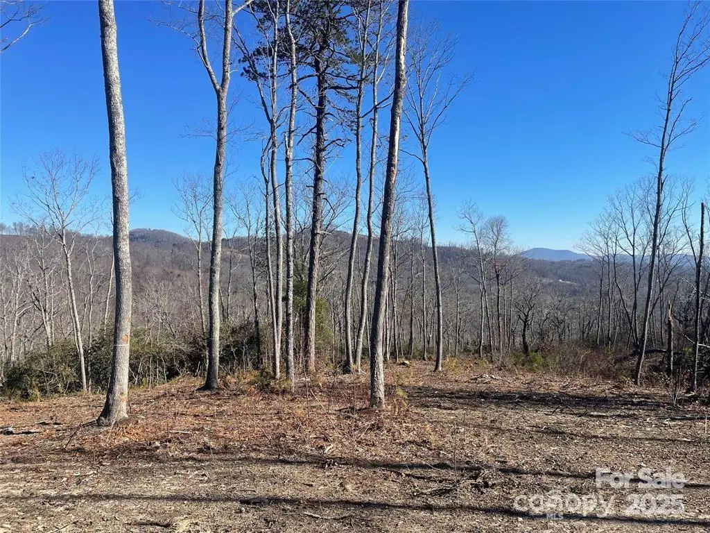 Lot 59 Mountain Grove Lane, Fletcher, NC 28732 - Image #1