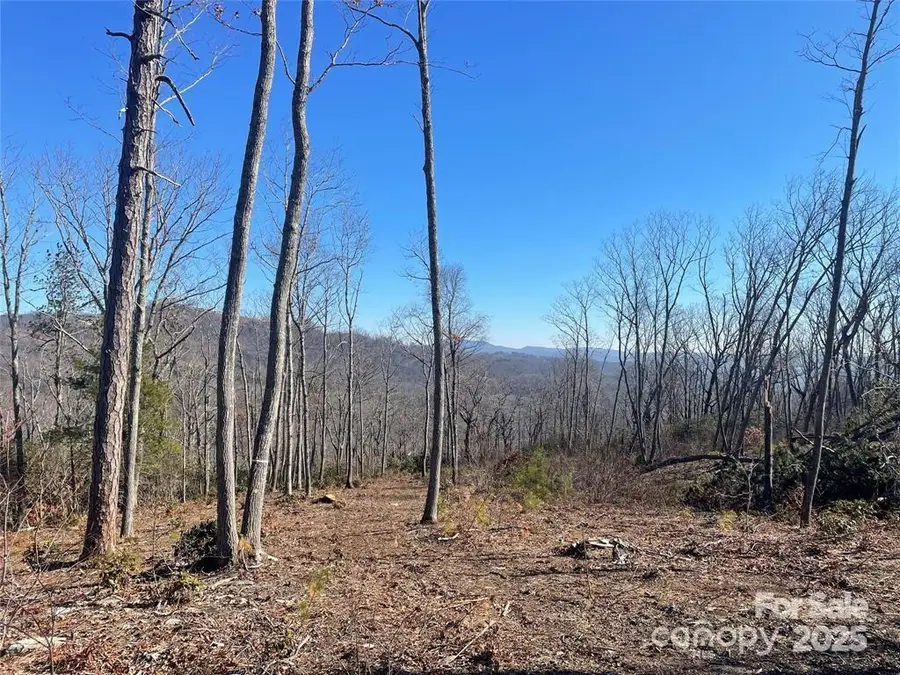 Lot 59 Mountain Grove Lane, Fletcher, NC 28732 - Image #2