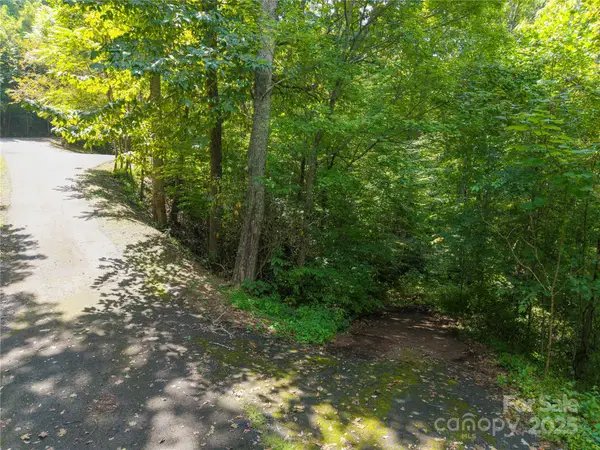 LOT 60 Chesten Mountain Drive #60, Asheville, NC 28803