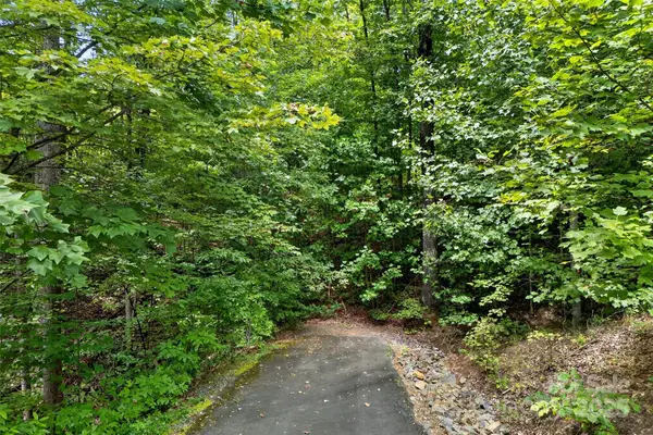 100 Comet Falls Trail #235, Black Mountain, NC 28711