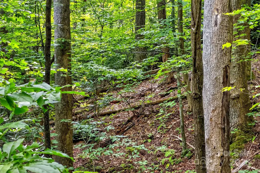 100 Comet Falls Trail #235, Black Mountain, NC 28711 - Image #2