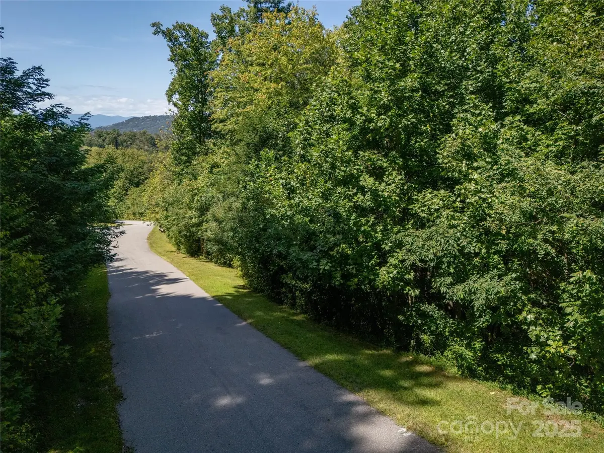 108 Bartrams Walk Drive, Asheville, NC 28804 - Image #1