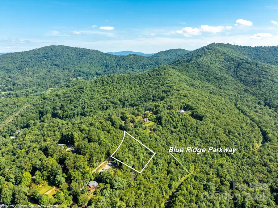 99999 Avondale Ridge Road, Asheville, NC 28803 - Image #3