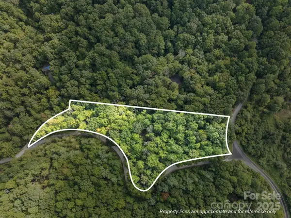 1 Rixhaven Drive, Saluda, NC 28773