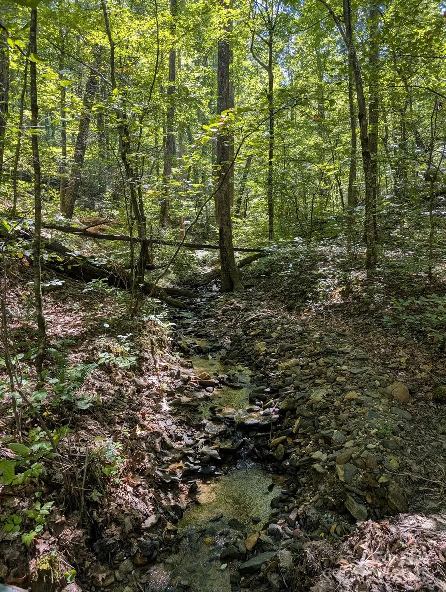 1 Rixhaven Drive, Saluda, NC 28773 - Image #2