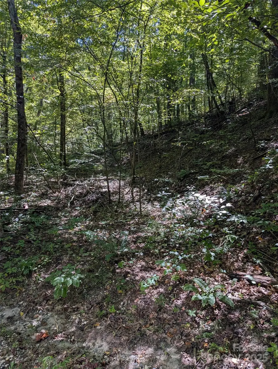 1 Rixhaven Drive, Saluda, NC 28773 - Image #3