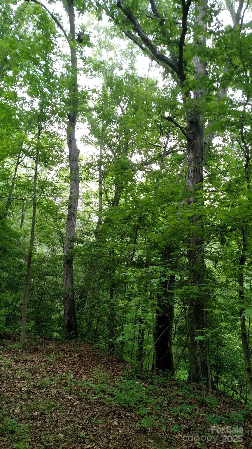 375 Timber Road, Iron Station, NC 28080 - Image #3