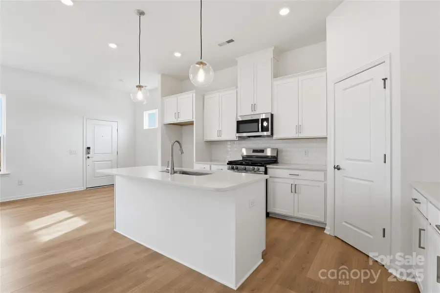 8672 Miles Gap Road, Indian Land, SC 29707 - Image #3