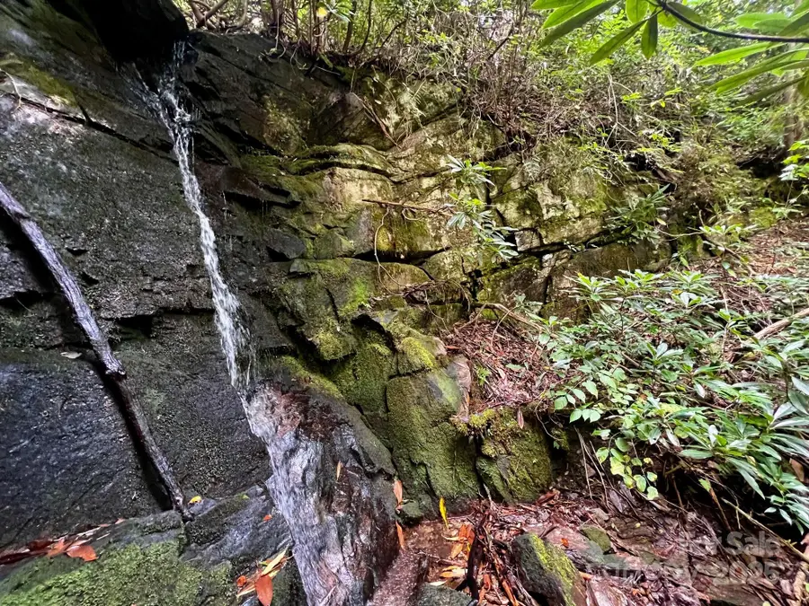 Lot 11 Silver Maple Trail, Brevard, NC 28712 - Image #3