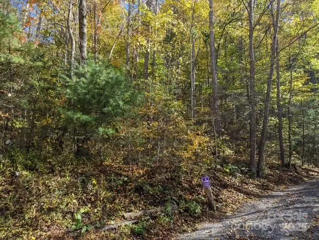 00 White Oak Road, Waynesville, NC 28786 - Image #1