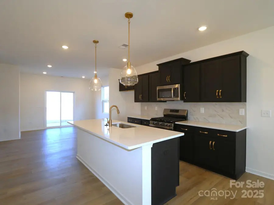 1465 Kate Cecil Way, York, SC 29745 - Image #3