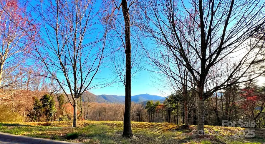 33 Grovepoint Way, Asheville, NC 28804 - Image #2