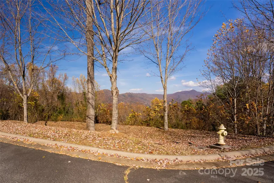 33 Grovepoint Way, Asheville, NC 28804 - Image #3