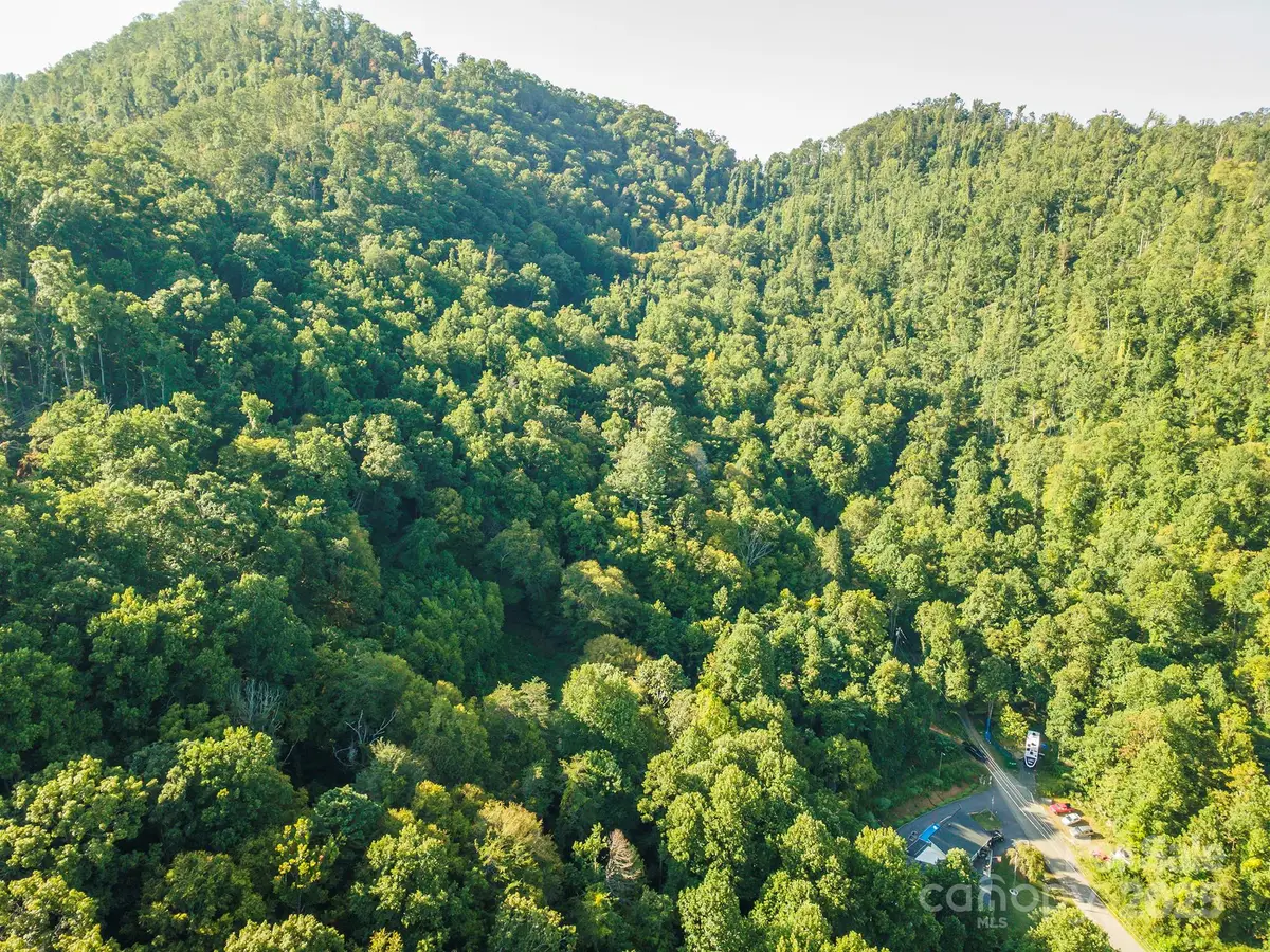99999 Roberts Cove Road, Weaverville, NC 28787 - Image #1