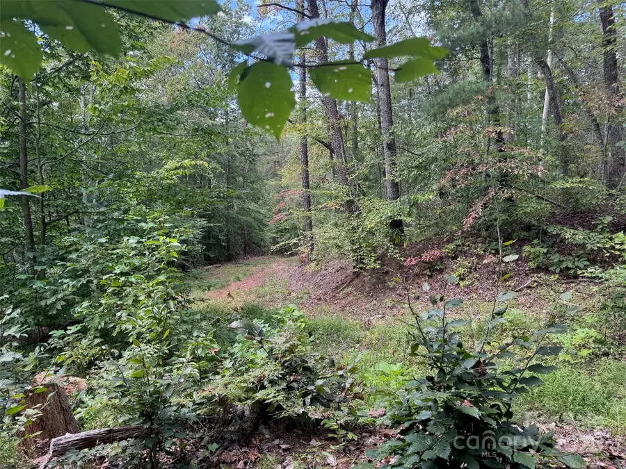 508 Old Bee Tree Road, Swannanoa, NC 28778 - Image #3