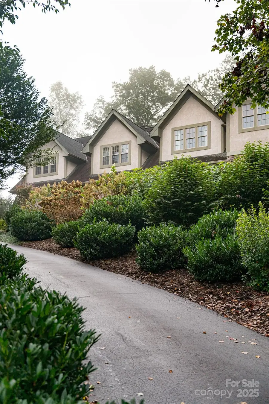 53 Cedar Hill Drive, Asheville, NC 28803 - Image #3